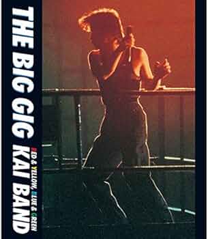 Amazon.co.jp: THE BIG GIG [Blu-ray] : 甲斐バンド, 甲斐バンド: DVD