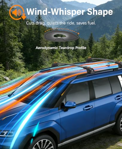 HmmtyRack 360lbs Roof Rack for Hyundai Santa Fe