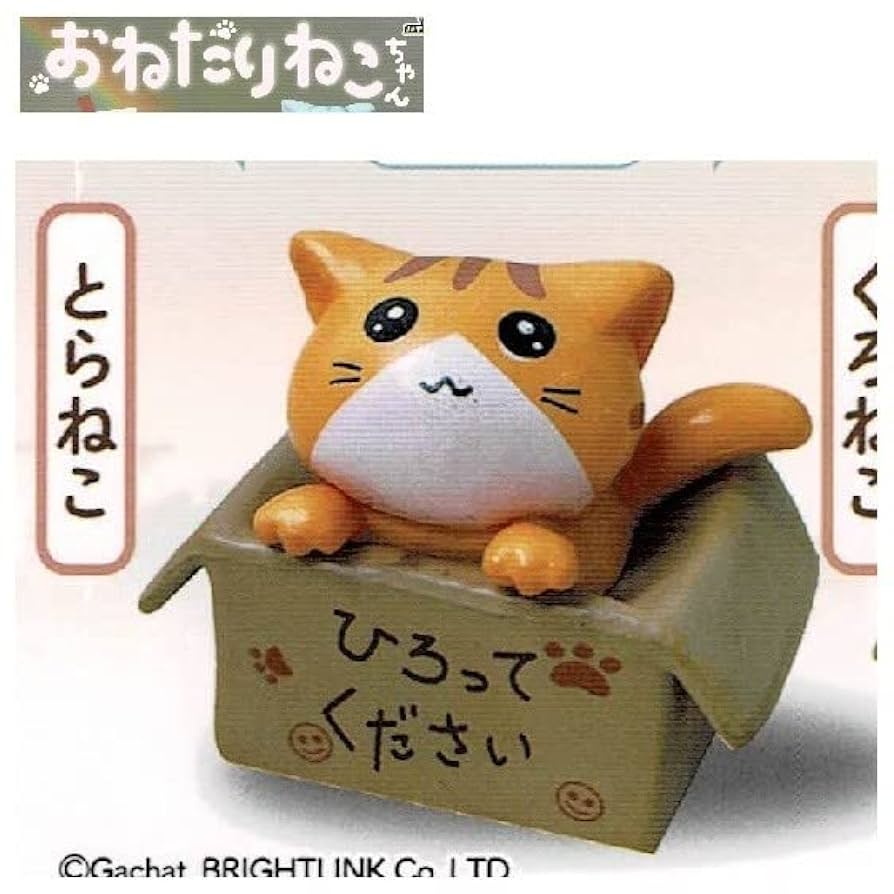 Amazon | おねだりねこちゃん フルコン 全4種 ／ ブライト