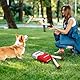 MUMUQ Hundespielzeug Zigarette Lustiges Hunde Plüsch Spielzeug Hunde Zigaretten Spielzeug Interaktives Hundespielzeug Quietschspielzeug Welpen Geschenk, Hundezubehör