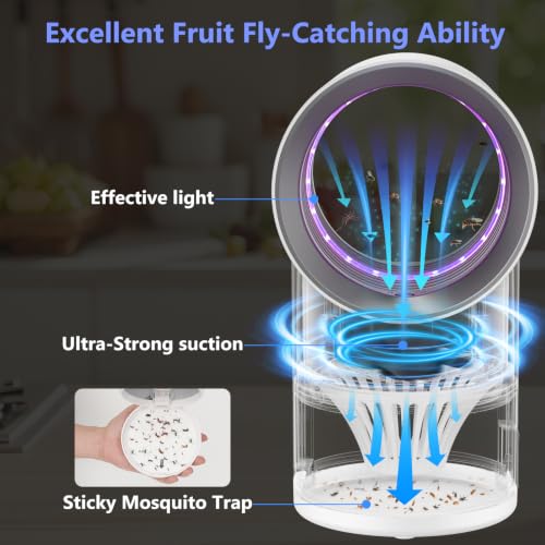 Image of Fruit Fly Trap for Indoors, White Bug Zapper Indoor with Suction & Timer | Uv Light Lures Fruit Flies /Gnats, Timer 6 /12hrs, Plug in Fly Trap with Suction, Kid & Pet Applicable, Low Noise, 10 refills