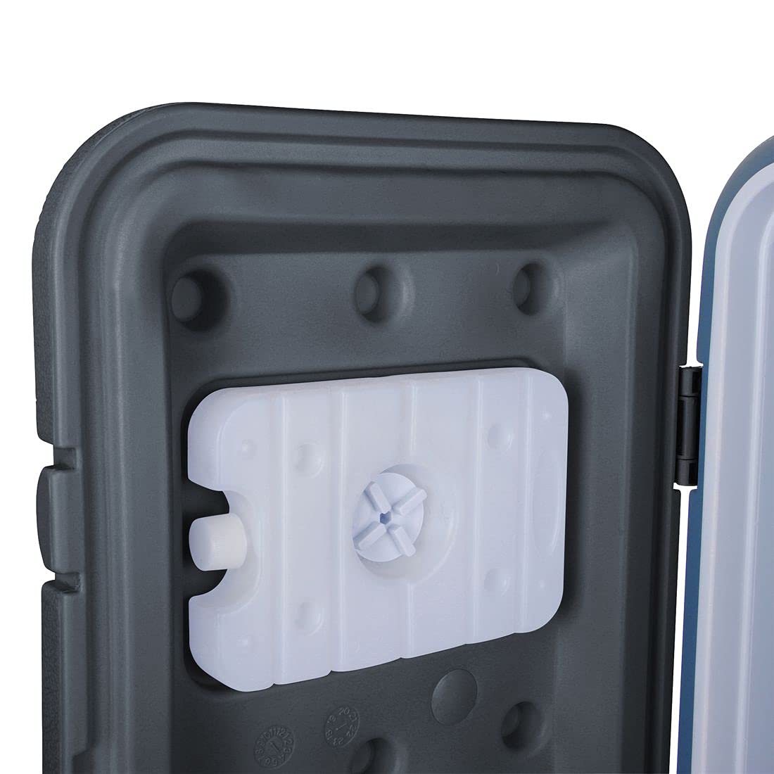 your GEAR Coolah Kühlbox - 4 Größen - 10, 30, 40, 60 Liter - passiver Kühlbehälter, 47 Std. Kühlleistung, Kühltasche, Eisbox, Isolierbox warm & kalt, Camping Picknick, Festival