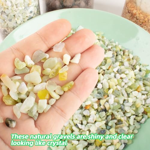 Image of CJGQ 7lb Natural Gravel for Aquarium Succulents Bonsai Terrarium Fish Tank,1 /5 inch Decorative Stone for Plants Indoor