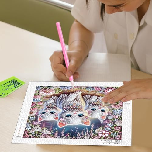 Image of AiYuanzsh DIY Diamond Art Painting Kits for Adults, 5D Special Shape Crystal Rhinestone Diamond Art Kits for Beginners, for Home Wall Decoration Gift 12x12 inch, Cute Cats