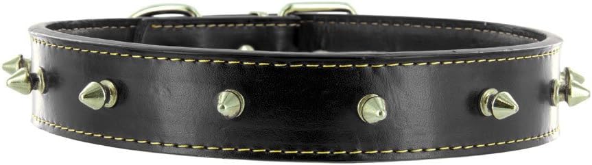 Kakadu Pet Studly Leather Studded Dog Collar, 3/4" x 18", Black