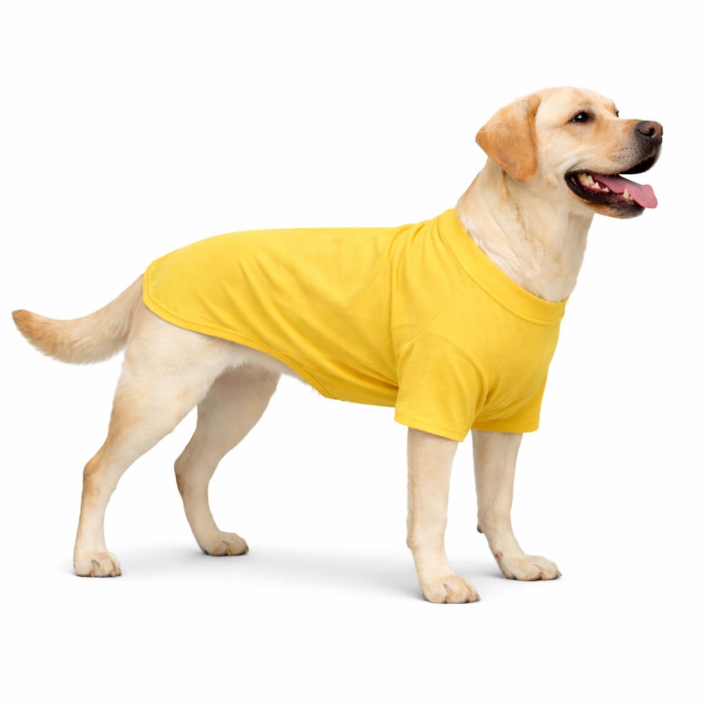 Tee shirt chien doux en pur coton pour choyer votre compagnon au quotidien