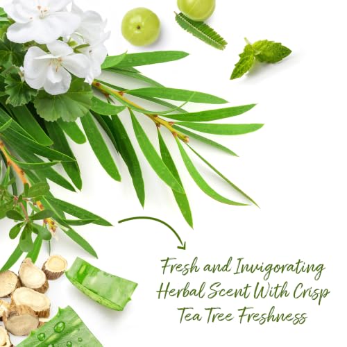 Image of Roycederm Tea Tree Body Wash 3 Pack
