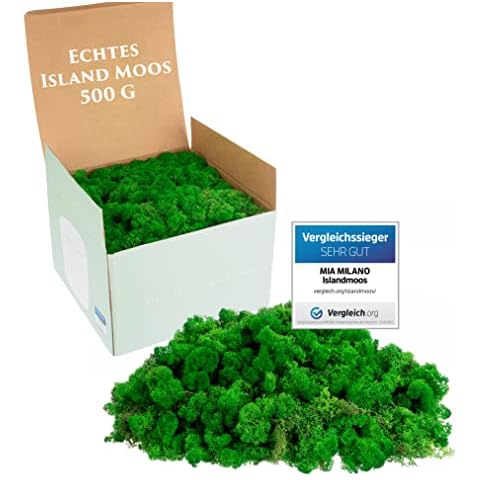 Islandmoos naturgrün konserviert I Moos Deko zum Basteln I 500g Echtes Dekomoos Isländisch für Moosbild und Mooswand lebend Cover