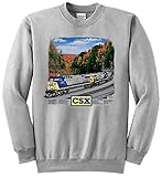 Daylight Sales CSX AC6000 Authentic Railroad Sweatshirt Adult XL[22] Ash