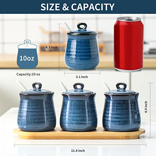 Hasense Porcelain Condiment Jar,10Oz Spice Container With Lid Spoon And Bamboo Tray,Small Salt Sugar Pepper Seasoning Pots Box Set Of 3,Ceramic Condiment Container For Home Kitchen Counter（Blue） #TOP4