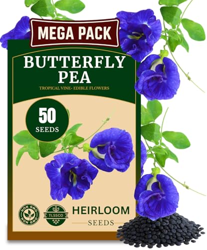 50+ Butterfly Pea Flower Seeds for Planting Non-GMO Flower Seeds Blue Butterfly Pea Vine (Clitoria Ternatea) Asian Pigeonwings -Tropical Vine Plant - Edible Flower Seeds