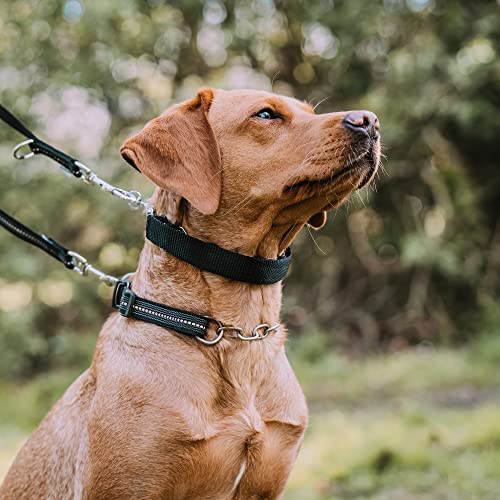 Herm Sprenger Hundehalsband-Abdeckung aus Nylon für kleine, mittelgroße und große Hundehalsbänder, strapazierfähiger Schutz für Hundehalsband, 39,6 cm, Schwarz