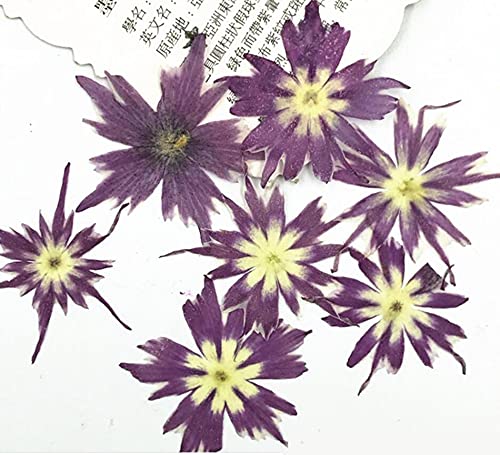 Flores artificiales secas 120 piezas 2-3cm color púrpura miniatura 1