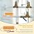 Capacitive Electronic Water Descaler with No-Salt Softener System is The Perfect Whole House Solution,Compatible with Pipes Up to 1Inch Model CWD24,Effectively Reducing Limescale and Mineral Deposits