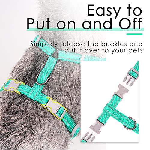 ThinkPet Reflective Breathable Soft Air Mesh No Pull Puppy Choke Free Over Head Vest Ventilation Harness Leash Set for Puppy Small Medium Dogs Teal L - Image 4