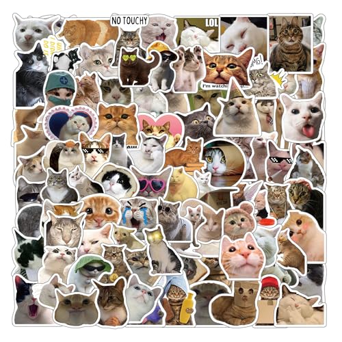 100pcs Kawaii Cat Stickers - Funny & Sad Cat Memes, Waterproof Vinyl Stickers for Bottle, Laptop, Skateboard, Phone, Guitar