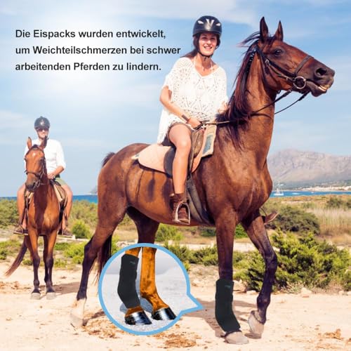 NEWGO Kühlgamaschen Pferd Kühl-Gamaschen Pferd Wiederverwendbare für Verletzungen, Kühlung Pferd Knie 1 Bandage mit 2 Kühlakkus für Stiefel, und Hufe (1 Stück)