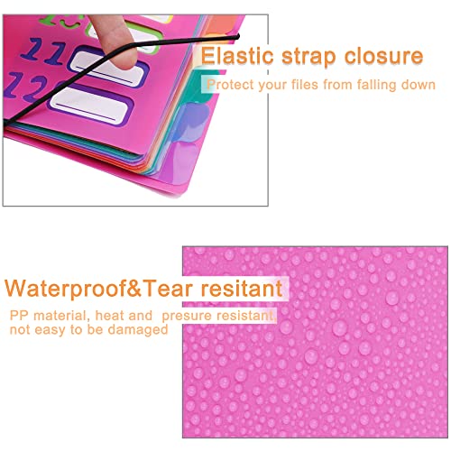 Edufun Organizador de arquivos expansíveis com 24 bolsos, pasta sanfonada (rosa rosa)