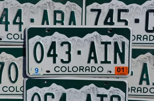 Authentic License Plates - All 50 States + Territories License