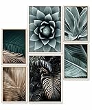 Heimlich® Premium Poster Set OHNE Bilderrahmen | 2 x DIN A3 & 4 x DIN A4 - ca. 30x42 & 21x30 | Stilvolle Poster Collagen mit passenden Bilder als Wanddeko » Agaven Palmen Gold «