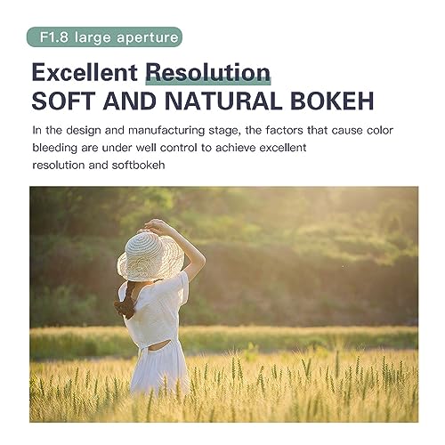 Ficha técnica VILTROX AF 28mm F1.8 FE Lente Gran Angular Fotograma Completo Prime Enfoque Automático para Sony E Mount cámaras A9 A7 II III 7R II III IV 6600 6500 6400 - Fernando Cortés