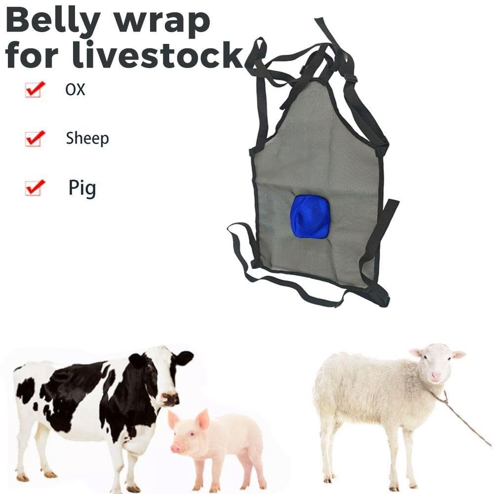 Eyein No-Pull Hundegeschirr, Air-Mesh Atmungsaktiv Brustgeschirr für kleine, mittelgroße und