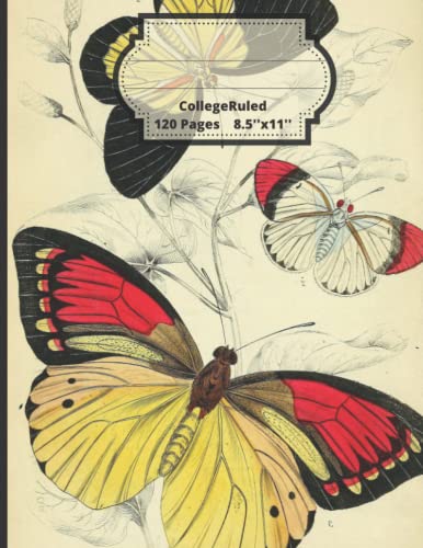 Composition Notebook 8.5''x11'' College Ruled 120 Pages: Beautiful Vintage Butterfly Illustration. Natural History and Natural Sciences Illustrations image 2