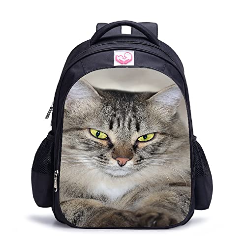 Mochila deportiva para gatos escolar impermeable y unisex de 41cm