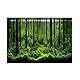 Aquarium Poster Aquarium Rückwandfolie Aquarium Hintergrund Dekoration PVC Klebstoff Unterwasser Wald Tank Hintergrund Poster Doppel Seiten Hintergrund Dekoration Papier für Aquarium(61 * 41cm)