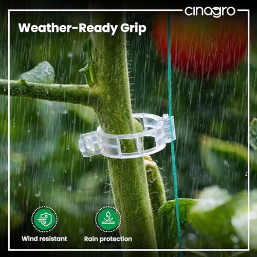 Image of Cinagro Plant Support Clips for Climbing Plants, Set of 100, 4cm Dia | Reusable Stem Holder for Upright Growth, For Vines, Vegetables, Flowers
