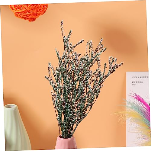 Ramo de Flores Secas Babysbreath para Decoración miniatura 5
