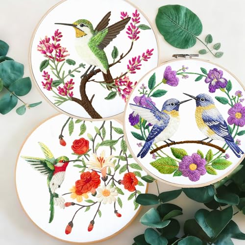 Image of BEUNITONE 6 Set Hummingbird Starter Embroidery Kit with Pre-Stamped Pattern
