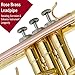 Libretto Gold Lacquer Bb Trumpet Set, Rose Brass Leadpipe, Standard for Beginner & Intermediate Students, Stainless Valve, 7C Mouthpiece, Durable Case, Portable Stand & Maintenance Kit w/Instructions
