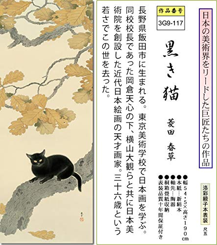 Amazon.co.jp: 掛け軸-黒き猫／菱田 春草(尺五) 床の間 和室 お洒落