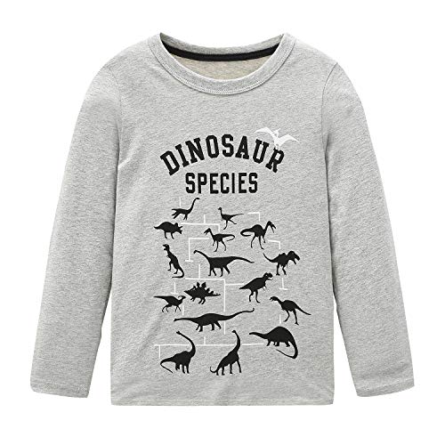 HowJoJo Big Boys Dinosaur Shirts Kids Cotton Long Sleeve T Shirts Graphic Crewneck Tees Gray Size 10/8-10