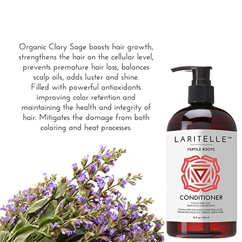 Laritelle Organic Shampoo 17 Oz + Conditioner 16 Oz | Prevents Hair Loss, Promotes Hair Growth | Ayurvedic Herbs, Lavender, Ginger & Rosemary | No Gmo, Sulfates, Gluten, Alcohol, Parabens, Phthalates #TOP4