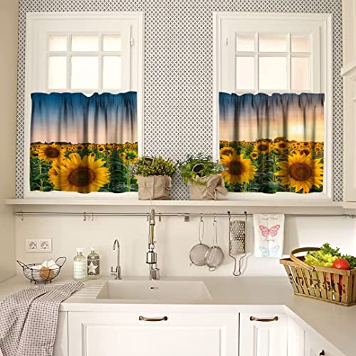 Summer Sunflowers Curtain Set, Sunset Over Huge Sunflower Field Window Valances And Tier Set For Kitchen Living Room Café Décor 54'X18' & 27'X36'X2, 3 Panels #TOP1