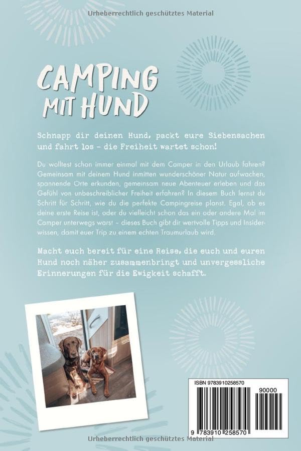 Camping mit Hund – Alles, was du für die gemeinsame Reise im Wohnmobil wissen musst