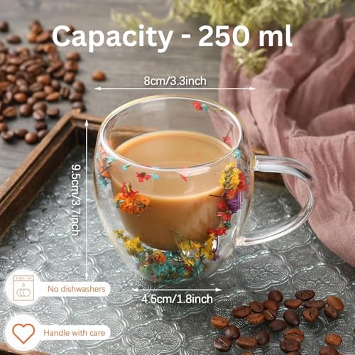 Image of La' Forte LA' Vite Set of 2 - 250ml Double-Walled Borosilicate Glass Cups | Transparent Insulated Coffee Mugs for Hot & Cold Beverages with Real Dried Flowers Inside (Plain)