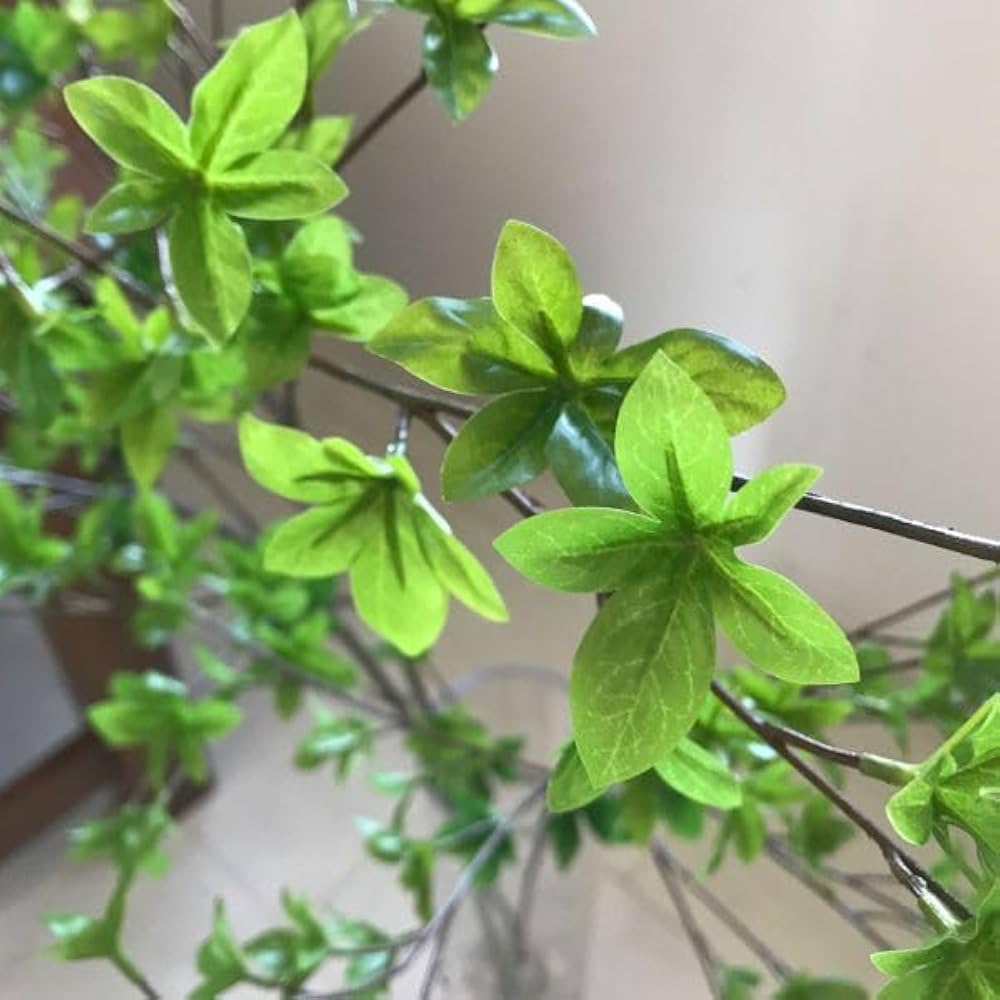 ドウダンツツジ 観葉植物 フェイクグリーン　◯グラス付き◯ Amazon｜GREENPARK ドウダンツツジ Water H60cm 観葉植物