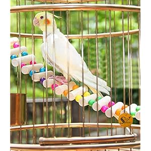 48cm / 19 Inches Playful Natural Wood Bead Swing Flexible Ladder Toy for Cockatiel, Lovebird, Budgerigar, Sun Conure…