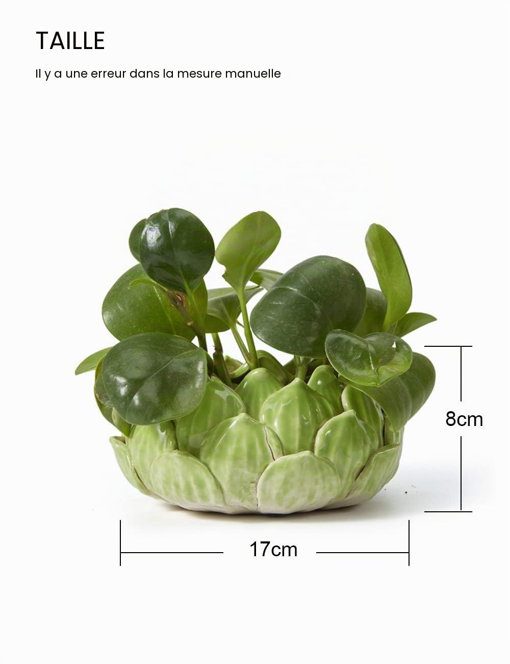 SEINHIJO Pot de Fleur Plante Succulente Cactu Intérieur Déco Statue 18cm