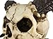 PTC 10.5 Inch Evil Ram Horned Skull with Tongue Out Figurine Statue