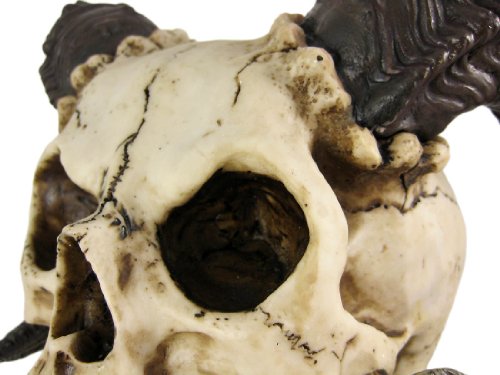 Estatua decorativa de calavera con cuernos de carnero 10.5 in miniatura 4