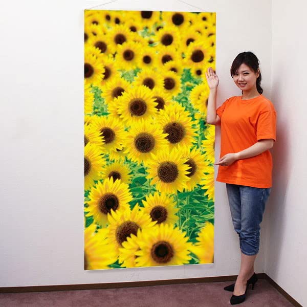 ひまわり 生地 ひまわり オックス 花柄 向日葵 布 綿 白 赤 紺 植物