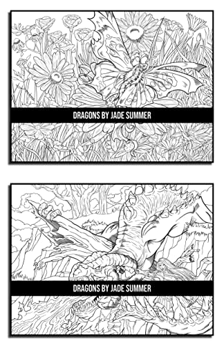 Dragons: An Adult Coloring Book with Mythical Fantasy Creatures and Epic Fantasy Scenes for Dragon Lovers - Image 16