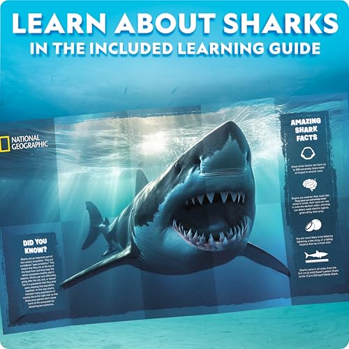 National Geographic Motorized Shark 3D Puzzle - 45-Piece 3D Wood Model Kit with Light-Up Motorized Display Base with 8 Light Settings, 3D Puzzles for Kids, Wooden Animal Puzzle, Shark Toy - Image 5