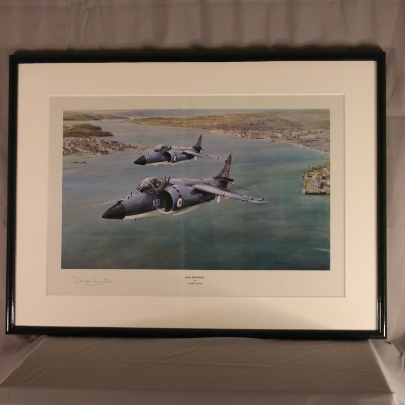 貴重　洋書　 航空機絵画集　ロバート・テイラー　空中戦絵画（英語版・中古本） 貴重 洋書 航空機絵画集 ロバート・テイラー 空中戦絵画（英語版