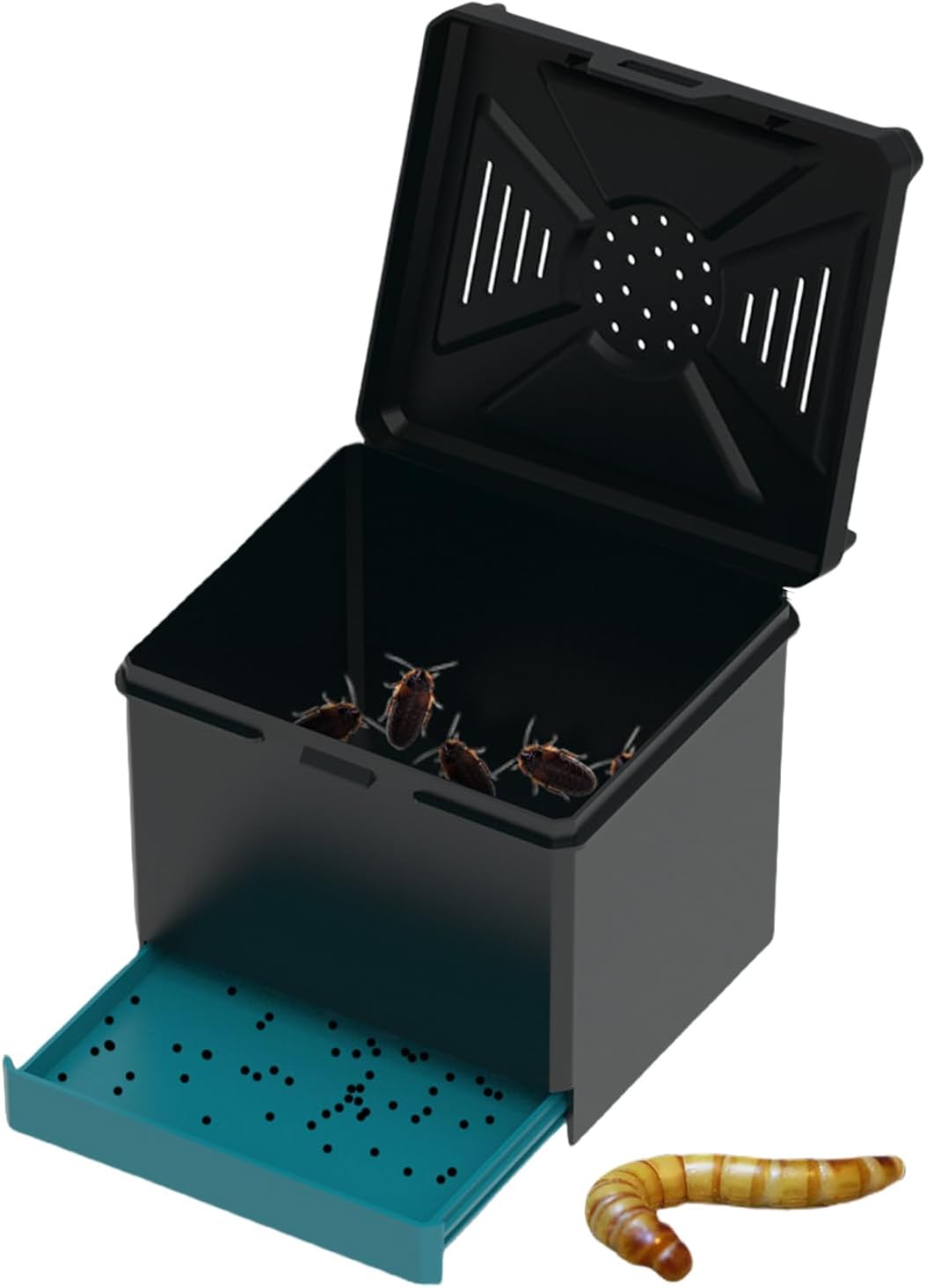 Tarantula Enclosure | Tarantula Breeding Habitat - Ventilated Crickets Enclosure for Small Reptiles Spider Scorpion Mantis Roach Beetles Ant Zoo Outdoor Indoor