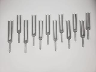 Set of 12 Mineral Nutrients Human Deficiency Unweighted Tuning Forks with Mallet and Velvet Pouch